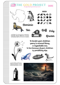 Wild Dark Shore Book Deco